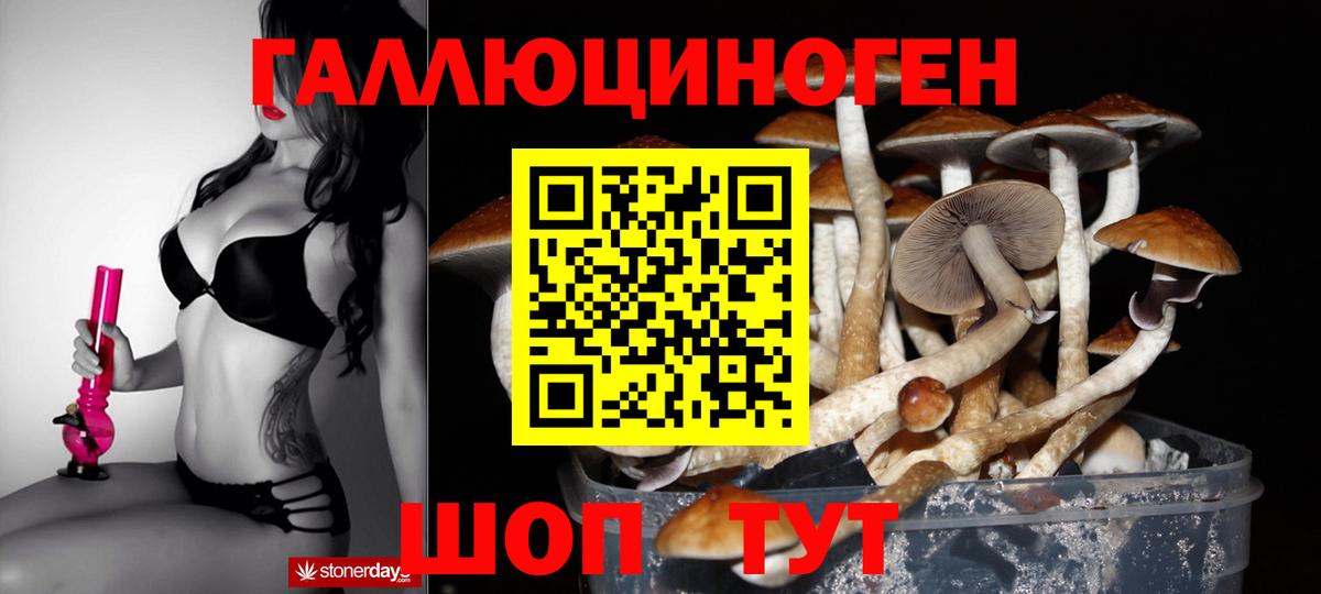 Галлюциногенные грибы Magic Shrooms  где купить   Строитель  Вход с VPN 